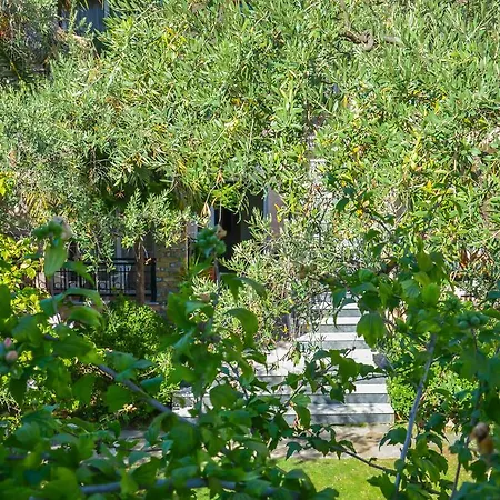 Eden بيت ضيافة