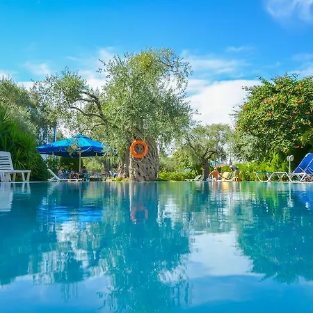 بيت ضيافة Eden